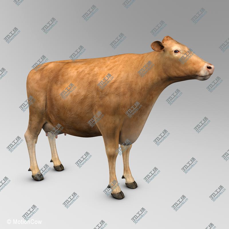 images/goods_img/202104022/Cow Limousin/3.jpg